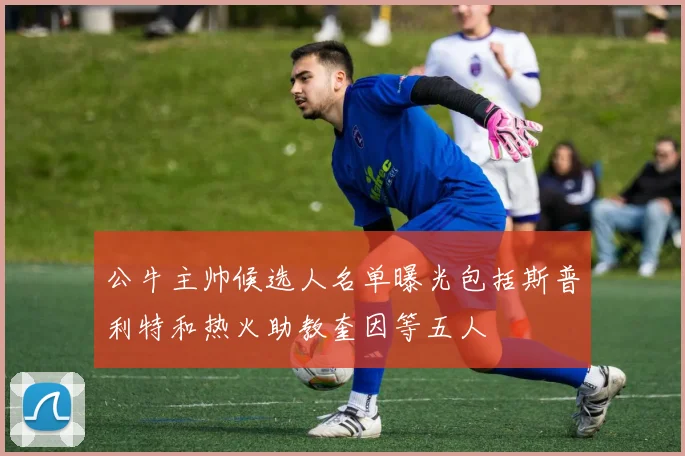 公牛主帅候选人名单曝光包括斯普利特和热火助教奎因等五人